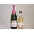 りんご果汁100％ジュースとりんごのお酒2本セット(青森県産りんご100%マディアップルセミスイート