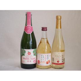 りんご果汁100％ジュースとりんごのお酒3本セット(信州産100%林檎シードル 青森県産りんご100