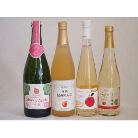 りんご果汁100％ジュースとりんごのお酒4本セット(信州りんご果汁100% 丹波シードルやや甘口 信