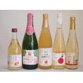 りんご果汁100％ジュースとりんごのお酒5本セット(信州りんご果汁100% 丹波シードルやや甘口 信