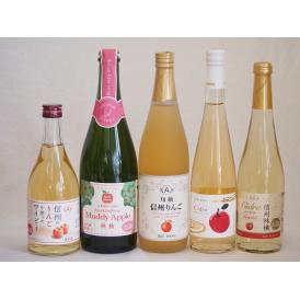 りんご果汁100％ジュースとりんごのお酒5本セット(信州りんご果汁100% 丹波シードルやや甘口 信