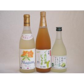 ナイアガラぶどう特集3本セット(有機ナイアガラぶどう果汁100％ 信州産100%ナイアガラワインal