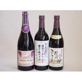 コンコードぶどう特集3本セット(マディルージュ葡萄スパークリングワイン甘口 信州コンコード甘口赤ワイ