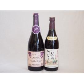 コンコードぶどう特集2本セット(マディルージュ葡萄スパークリングワイン甘口 信州コンコード中口赤ワイ