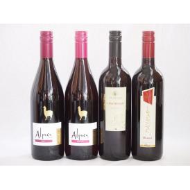 チリ産アルパカとイタリア赤ワイン4本セット(赤ピノ・ノワール 赤シラー 赤コルテ デル ニッピオ ロ