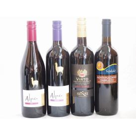 チリ産アルパカとイタリア赤ワイン4本セット(赤シラー 赤カルメネール 赤センシィヴィルトロッソ 赤モ