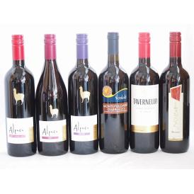 チリ産アルパカとイタリア赤ワイン6本セット(赤シラー 赤カルメネール 赤カベルネ・メルロー 赤ブルー