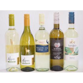 チリ産アルパカとイタリア白ワイン5本セット(白シャルドネ・セミヨン 白ソーヴィニヨン・ブラン 白コル