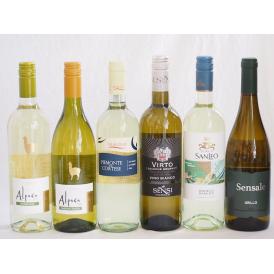 チリ産アルパカとイタリア白ワイン6本セット(白シャルドネ・セミヨン 白ソーヴィニヨン・ブラン 白セン