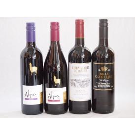チリ産アルパカとフランス赤ワイン4本セット(赤シラー 赤カルメネール 赤シュバリエ・デュ・ルヴァン 