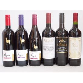 チリ産アルパカとフランス赤ワイン6本セット(赤シラー 赤カルメネール 赤カベルネ・メルロー 赤シュバ