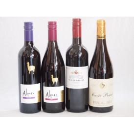 チリ産アルパカとフランス赤ワイン4本セット(赤シラー 赤カルメネール 赤キャベェブレヴァン ルージュ