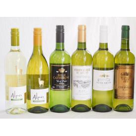チリ産アルパカとフランス白ワイン6本セット(白シャルドネ・セミヨン 白ソーヴィニヨン・ブラン 白シュ
