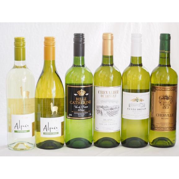チリ産アルパカとフランス白ワイン6本セット(白シャルドネ・セミヨン 白ソーヴィニヨン・ブラン 白シュ01