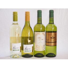 チリ産アルパカとフランス白ワイン4本セット(白シャルドネ・セミヨン 白ソーヴィニヨン・ブラン 白サン