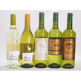 チリ産アルパカとフランス白ワイン5本セット(白シャルドネ・セミヨン 白ソーヴィニヨン・ブラン 白サン