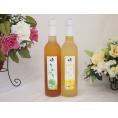 トロリとしたとろとろ2本セット(国産梅のうめとろ 国産ゆずのゆずとろ) 500ml×2本