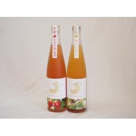 金鯱リキュール2本セット(知多半島の苺酒 山田錦純米吟醸酒仕込梅酒) 500ml×2本