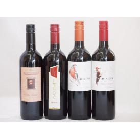 イタリア×チリ赤ワイン4本セット(ブルーサ ロッソ ミケランジャロ ロッソ デルスールカベルネ デル