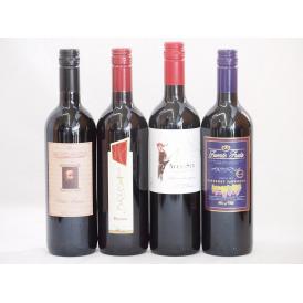 イタリア×チリ赤ワイン4本セット(ブルーサ ロッソ ミケランジャロ ロッソ フエンテフルータカベルネ