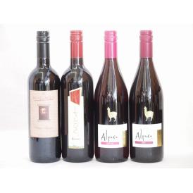 イタリア×チリ赤ワイン4本セット(ブルーサ ロッソ ミケランジャロ ロッソ アルパカピノ・ノワール 