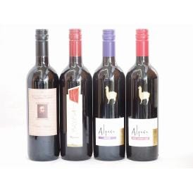 イタリア×チリ赤ワイン4本セット(ブルーサ ロッソ ミケランジャロ ロッソ アルパカカルメネール ア