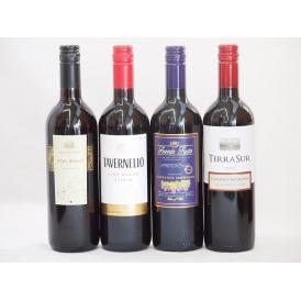イタリア×チリ赤ワイン4本セット(コルテ デル ニッピオ ロッソ テラスルカベルネソーヴィニヨン フ