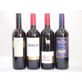 イタリア×チリ赤ワイン4本セット(コルテ デル ニッピオ ロッソ フエンテフルータカベルネ タヴェル