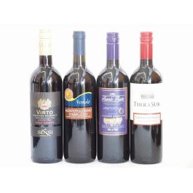 イタリア×チリ赤ワイン4本セット(テラスルカベルネソーヴィニヨン フエンテフルータカベルネ モンテプ