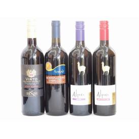イタリア×チリ赤ワイン4本セット(モンテプルチアーノ ダブルッツオ センシィヴィルトロッソ アルパカ