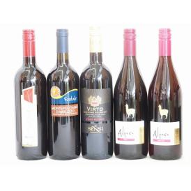 イタリア×チリ赤ワイン5本セット(ブルーサ ロッソ モンテプルチアーノ ダブルッツオ センシィヴィル