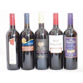 イタリア×チリ赤ワイン5本セット(ブルーサ ロッソ テラスルカベルネソーヴィニヨン フエンテフルータ