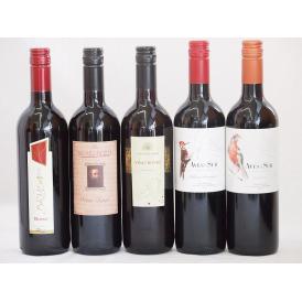 イタリア×チリ赤ワイン5本セット(コルテ デル ニッピオ ロッソ ブルーサ ロッソ ミケランジャロ 