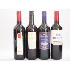 イタリア×チリ赤ワイン4本セット(コルテ デル ニッピオ ロッソ ブルーサ ロッソ テラスルカベルネ