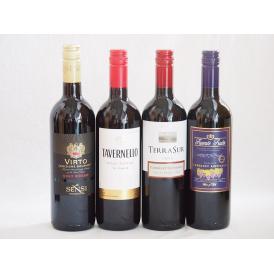イタリア×チリ赤ワイン4本セット(テラスルカベルネソーヴィニヨン フエンテフルータカベルネ センシィ
