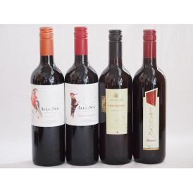 イタリア×チリ赤ワイン4本セット(コルテ デル ニッピオ ロッソ ブルーサ ロッソ デルスールカベル
