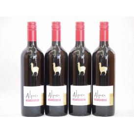 4本セット(チリ赤ワイン アルパカカベルネ・メルロー) 750ml×4本