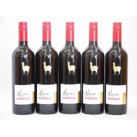 5本セット(チリ赤ワイン アルパカカベルネ・メルロー) 750ml×5本
