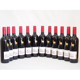 12本セット(チリ赤ワイン アルパカカベルネ・メルロー) 750ml×12本
