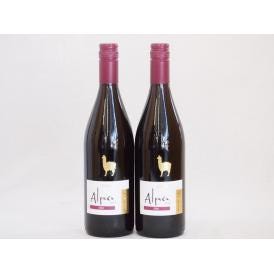 2本セット(チリ赤ワイン アルパカシラー(チリ)) 750ml×2本