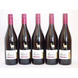 5本セット(チリ赤ワイン アルパカシラー(チリ)) 750ml×5本