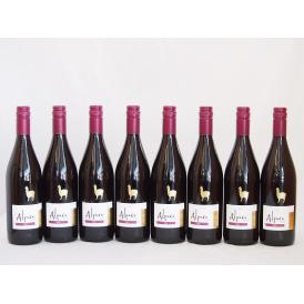 8本セット(チリ赤ワイン アルパカシラー(チリ)) 750ml×8本