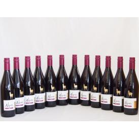 12本セット(チリ赤ワイン アルパカシラー(チリ)) 750ml×12本