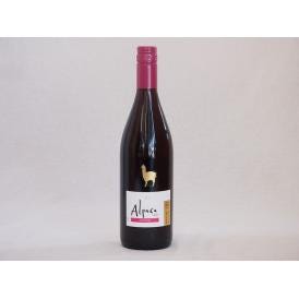 チリ赤ワイン アルパカピノ・ノワール 750ml×1本