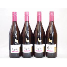 4本セット(チリ赤ワイン アルパカピノ・ノワール) 750ml×4本