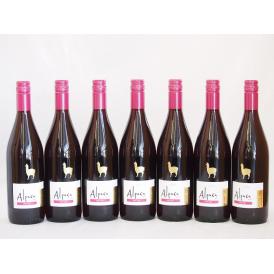 7本セット(チリ赤ワイン アルパカピノ・ノワール) 750ml×7本