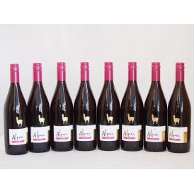 8本セット(チリ赤ワイン アルパカピノ・ノワール) 750ml×8本