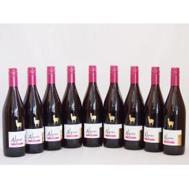 9本セット(チリ赤ワイン アルパカピノ・ノワール) 750ml×9本