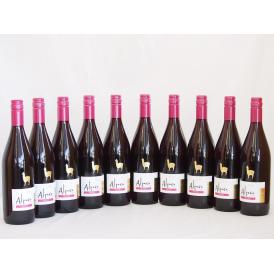 10本セット(チリ赤ワイン アルパカピノ・ノワール) 750ml×10本
