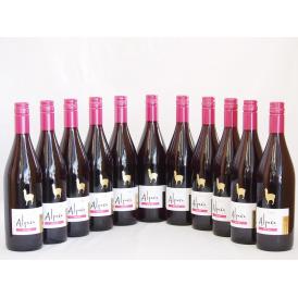 11本セット(チリ赤ワイン アルパカピノ・ノワール) 750ml×11本